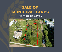 Lavoy_(1)