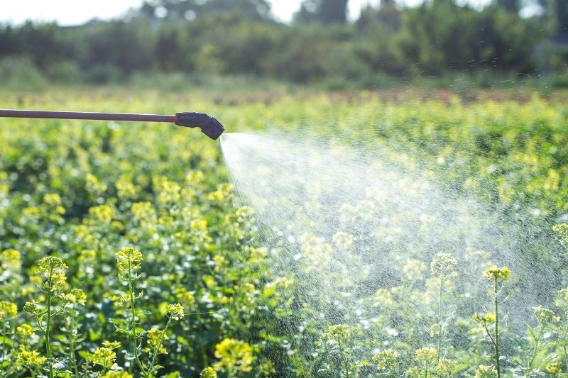 Spray_Weeds