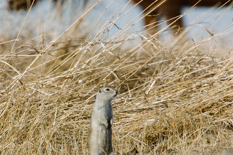 Untitled_design_(29)