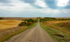 Roadside Spraying Program Starting Soon