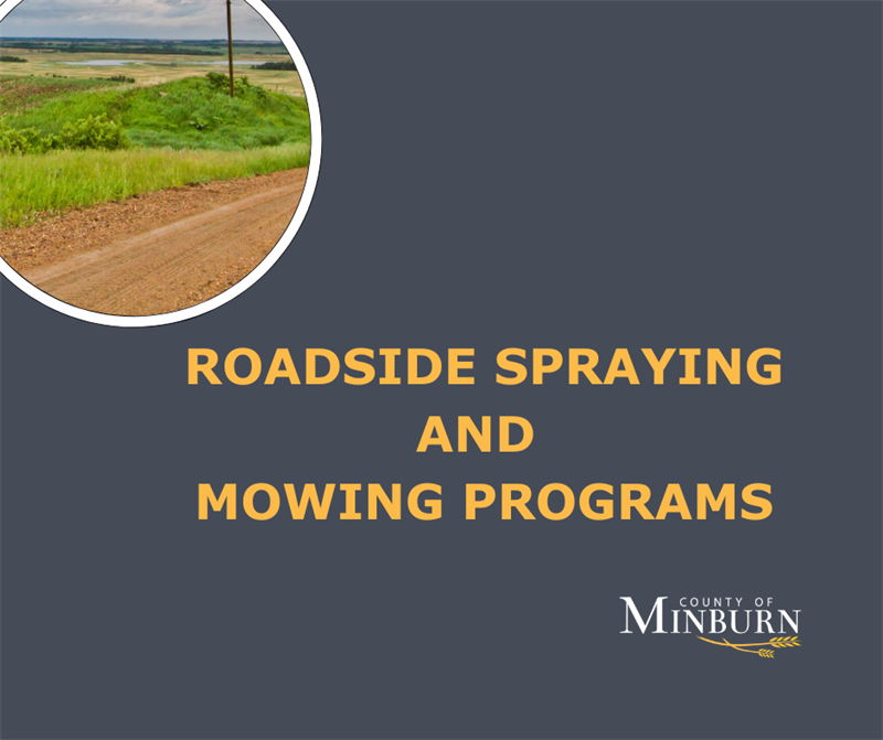Roadside_Spraying_(1)
